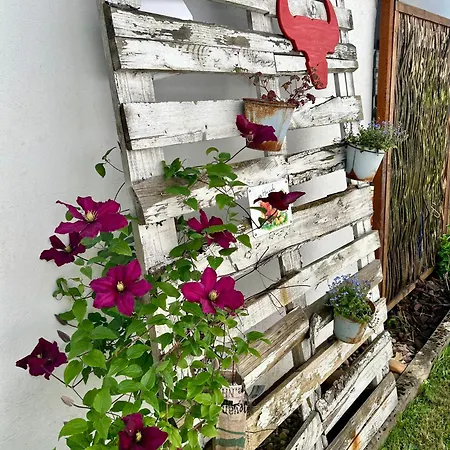 Ferienwohnung Piesbach Nalbach Exterior foto