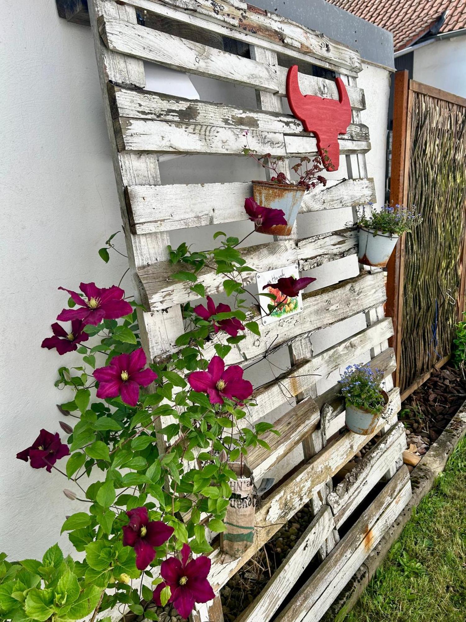 Apartment Piesbach
